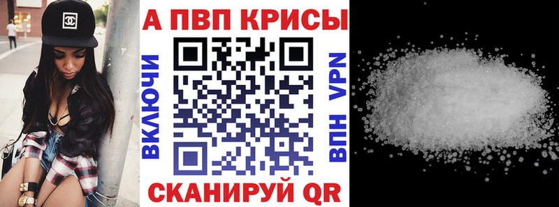 A PVP СК КРИС  Кызыл 
