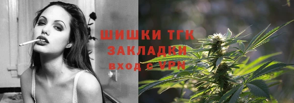 ешки Алзамай