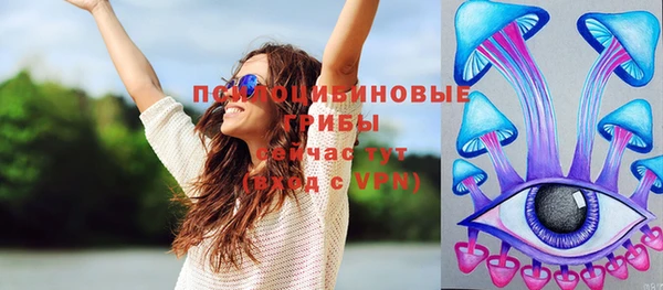 ешки Алзамай