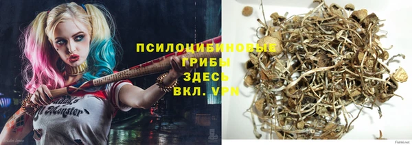 ешки Алзамай