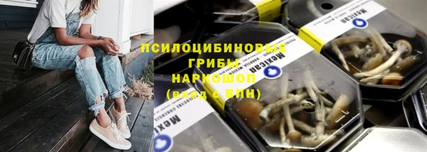 ешки Алзамай