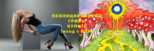 меф Алексин
