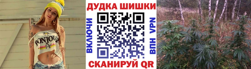 цены Кызыл Конопля планчик